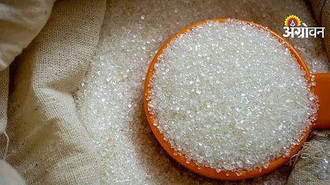 Commodity market trends sugar India