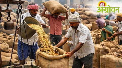 Paddy Procurement Process