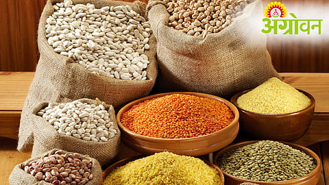 Pulses Import Policy