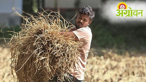 PM Kisan Yojana