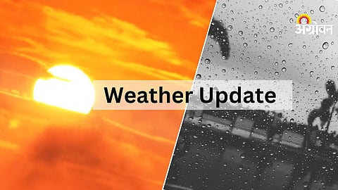 Weather