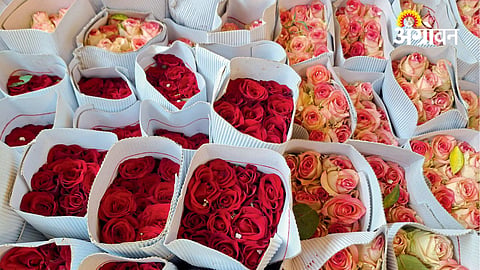 75 lakh roses exported from Talegaon Floriculture Park
