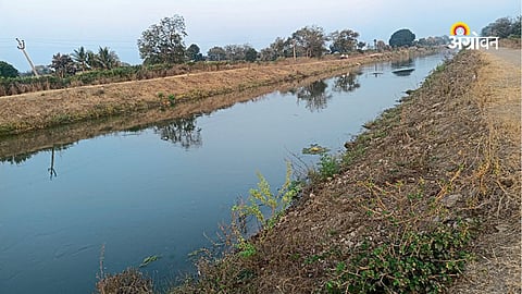Jayakwadi left canal poor condition Jalna news