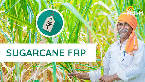 Pending sugarcane dues issue for farmers