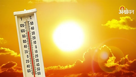 Heatwave and rain forecast in India