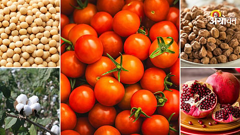 Market Products