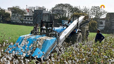 cotton harvesting machine