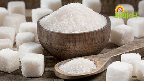 Sugar Production Rises