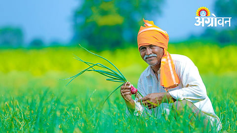 Namo Shetkari Yojana