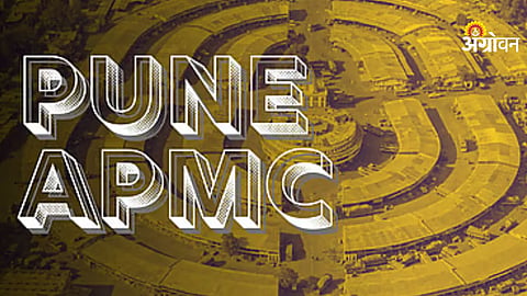 Pune APMC inquiry report controversy