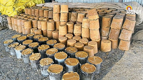 Government law for jaggery industry