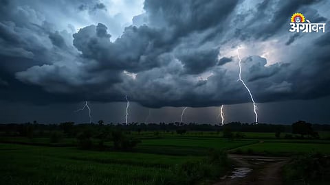 IMD weather warning for East Vidarbha farmers