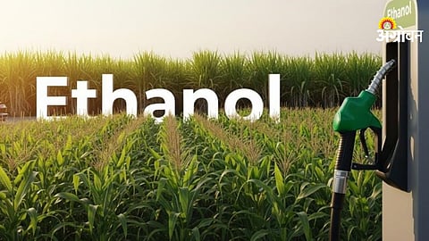 Impact of ethanol policy on farmers and fuel prices