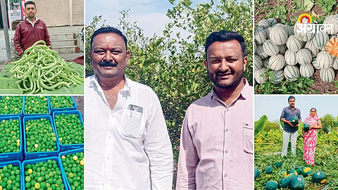Impact of reduced fruit supply on market rates