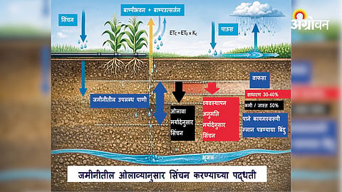 How to calculate crop water requirement using climate data