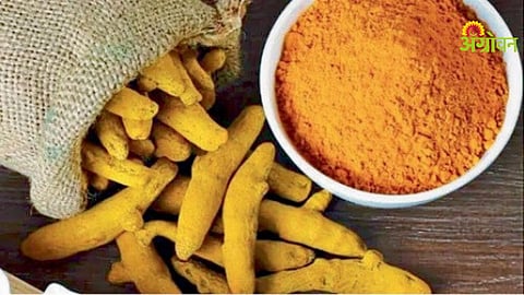 Nanded APMC turmeric price per quintal