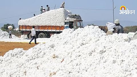 CCI cotton procurement deadline extended March 15