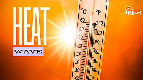 Highest temperature recorded in Akola