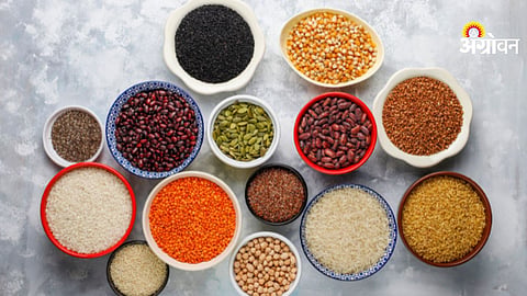 India national millet policy discussion event