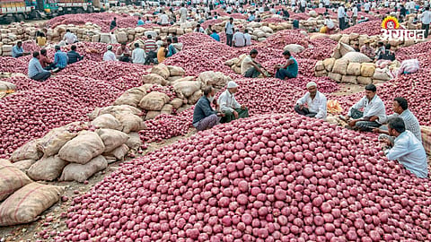 Onion price crash impact on farmers Maharashtra