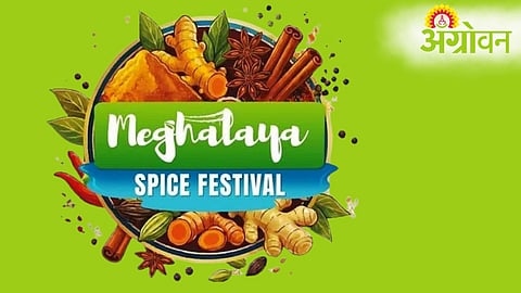 Meghalaya Spice Festival