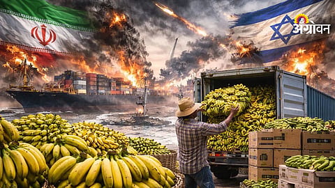 Impact of war on Khandesh banana export