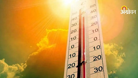 Rising Temperature in India