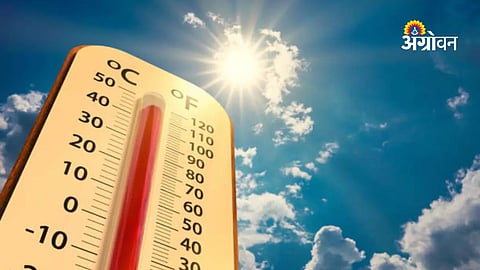 Weather update Konkan temperature and humidity