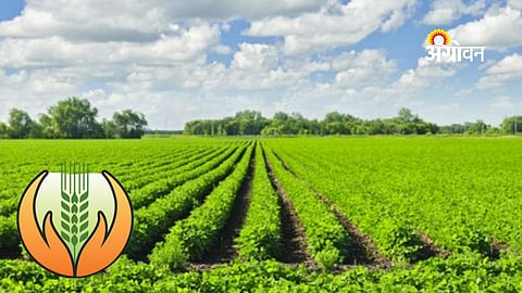 PM crop insurance scheme compensation delay