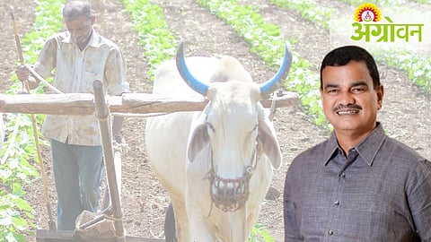 Farm Loan Waiver