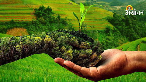 Pesticide Free Farming