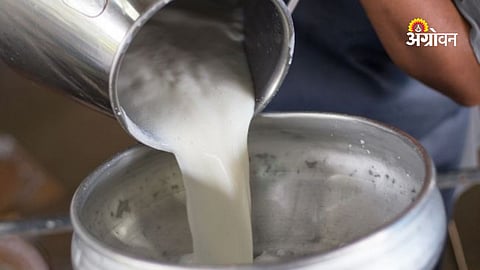 Dairy farming crisis due to low milk rates