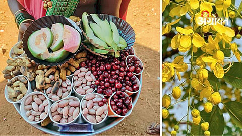 Importance of wild forest fruits in nutrition