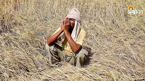 Agricultural transformation for rural development