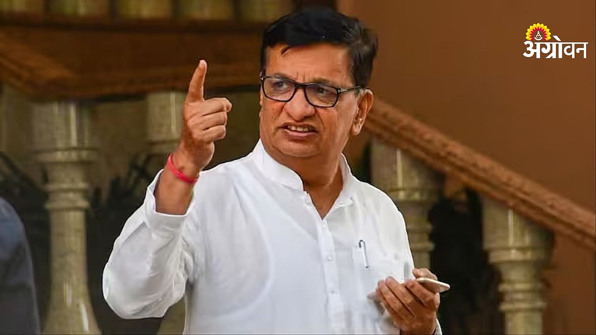पेपरफुटी ‘सरकार’मुळे तरुणांचे भविष्य धोक्यात; माजी शिक्षणमंत्री बाळासाहेब थोरातांचा घणाघात