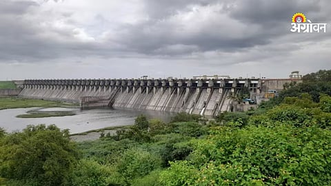 Ujani Dam latest water storage