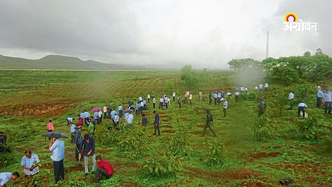 impact of industrialization on environmental balance