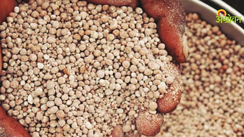 Vermicompost briquette technology in agriculture