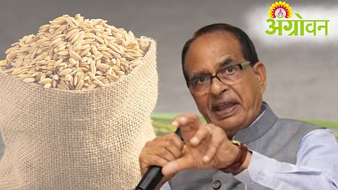 Food Grain Production