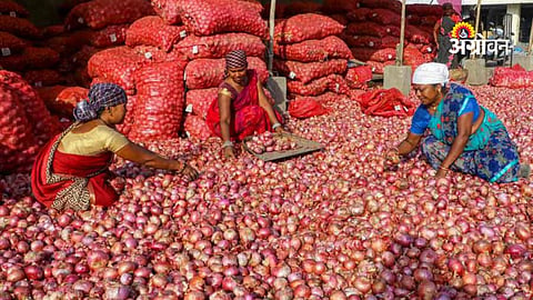 Onion procurement by NAFED and NCCF in Maharashtra