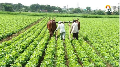 PM Kisan Scheme