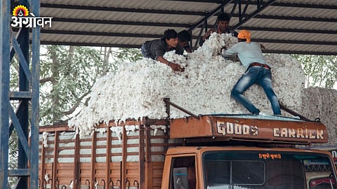 CCI cotton procurement policy change MSP to bhavantar scheme