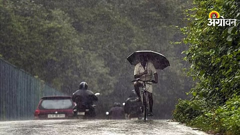 IMD rain forecast for Maharashtra