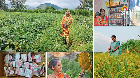Organic farming with traditional seed varieties in India