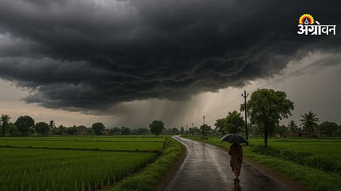 Rain forecast in Maharashtra