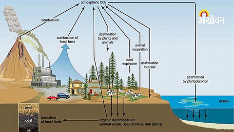 Reducing Greenhouse Gas Emissions in Agriculture: Opportunities for Farmers