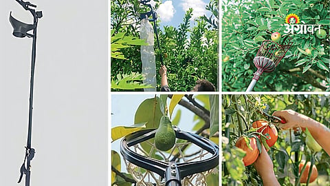 fruit harvesting tools in India price and benefits
