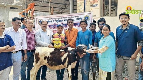 livestock Vaccination