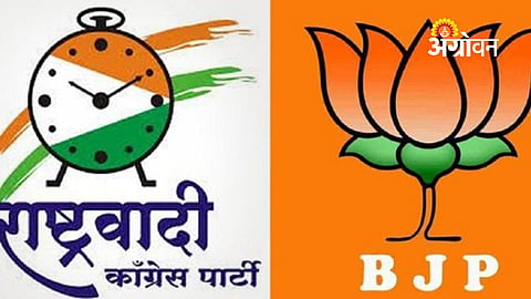 BJP vs NCP local body elections Maharashtra