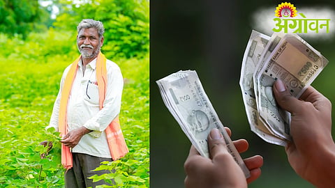 Farmer ID Scam